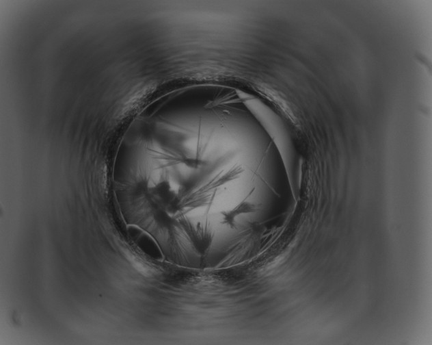 X0000095690589200801221249