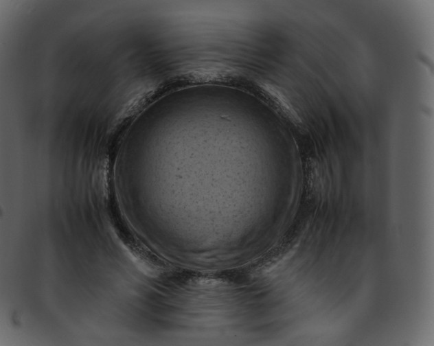 X0000095690590200801221249