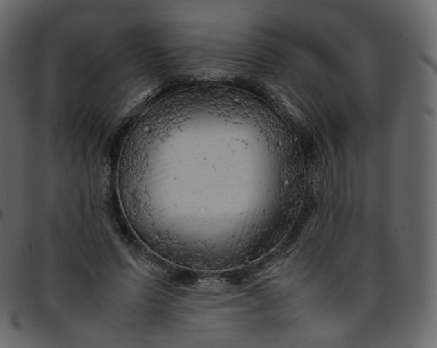 X0000095690591200801221249