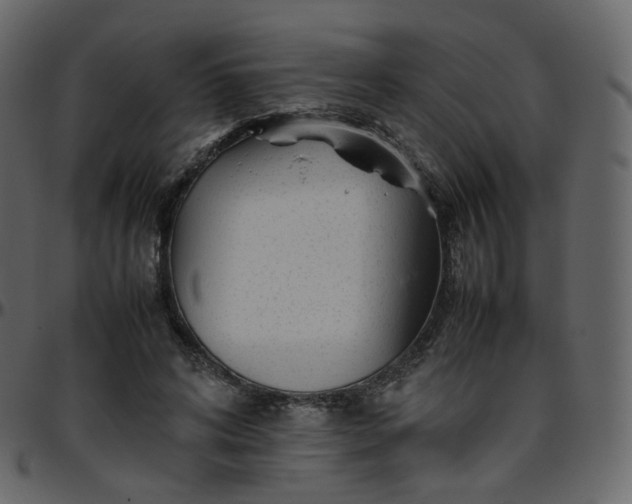 X0000095690592200801221249