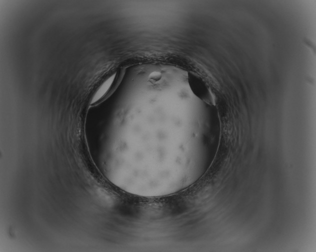 X0000095690593200801221249