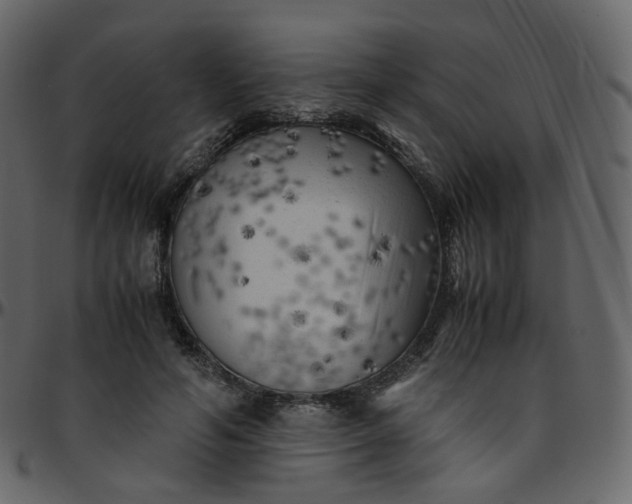 X0000095690594200801221249