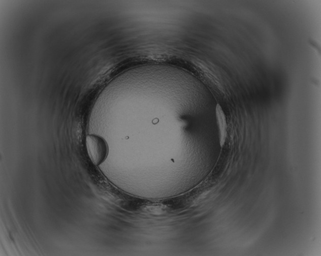 X0000095690595200801221249