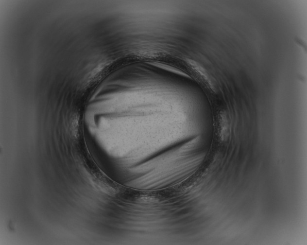 X0000095690596200801221249