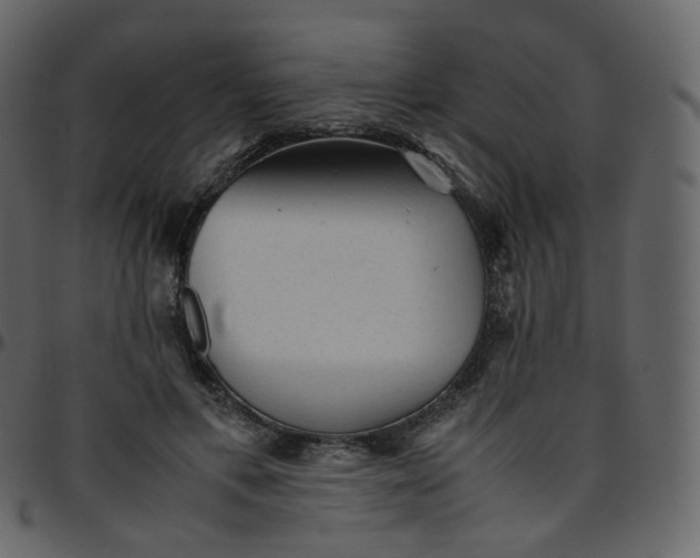 X0000095690597200801221249