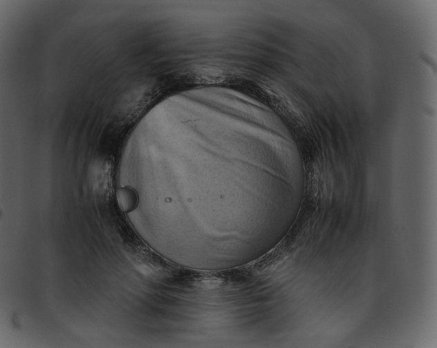 X0000095690598200801221249