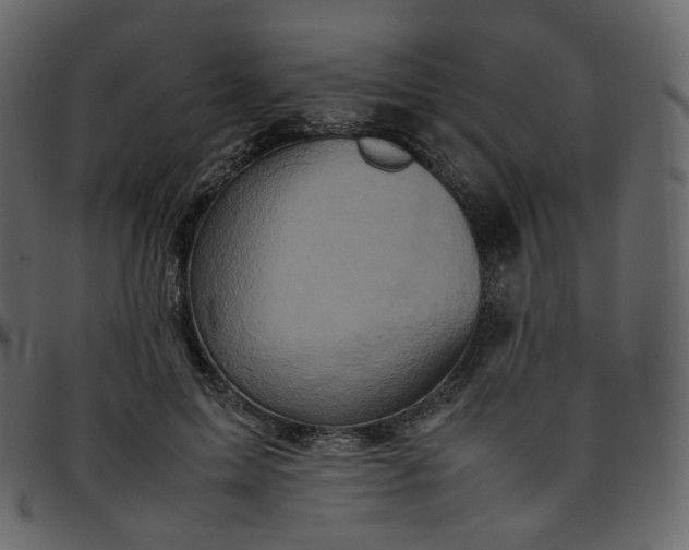 X0000095690599200801221249