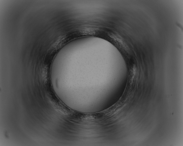 X0000095690600200801221249