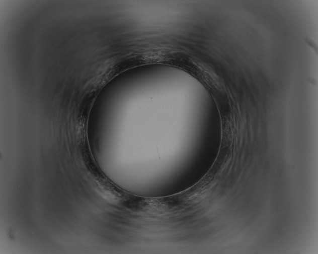 X0000095690601200801221249