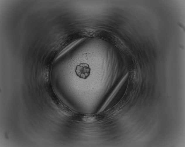 X0000095690602200801221249