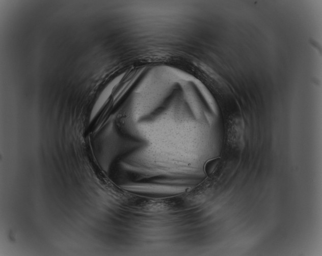 X0000095690604200801221249