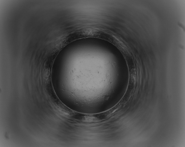 X0000095690605200801221249