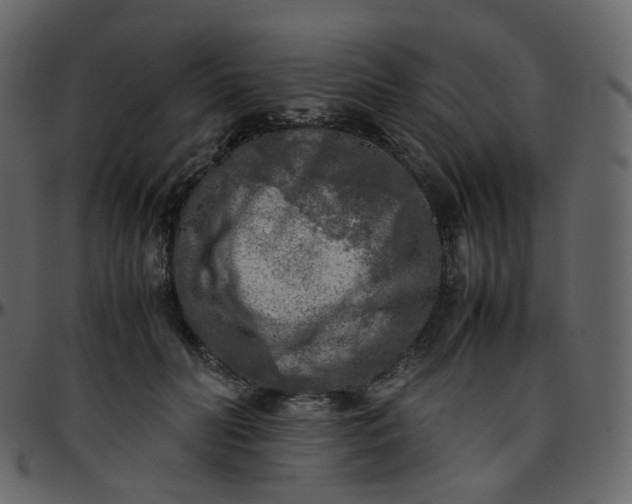 X0000095690606200801221249