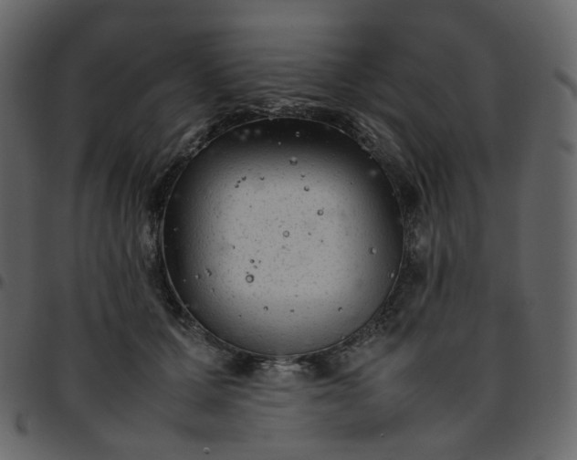 X0000095690607200801221249