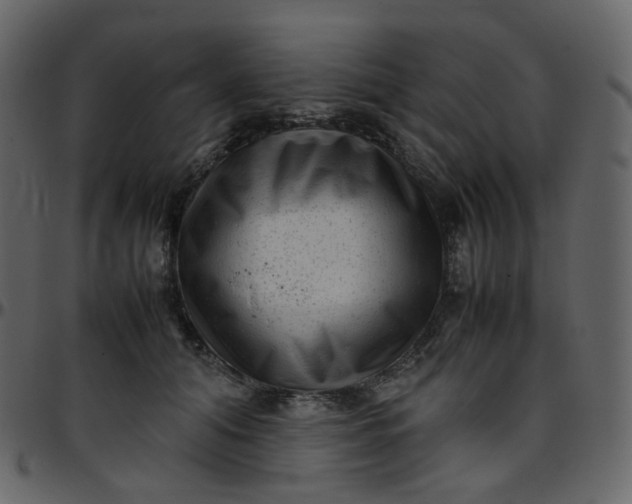 X0000095690608200801221249