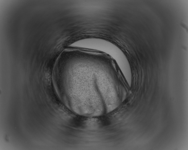 X0000095690609200801221249