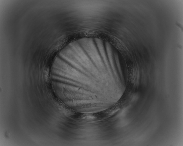 X0000095690610200801221249