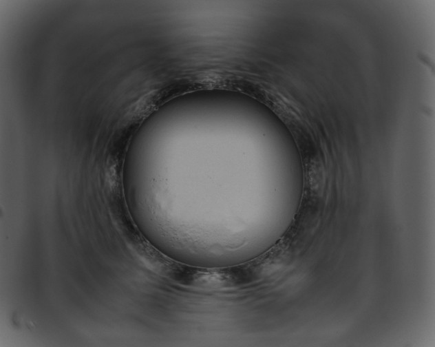 X0000095690611200801221249