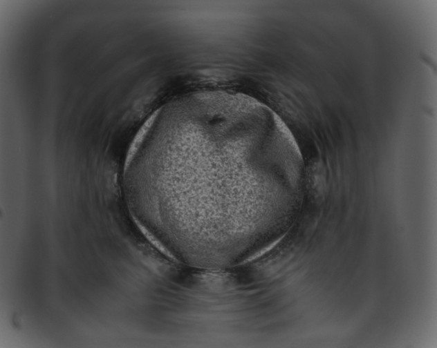 X0000095690615200801221249