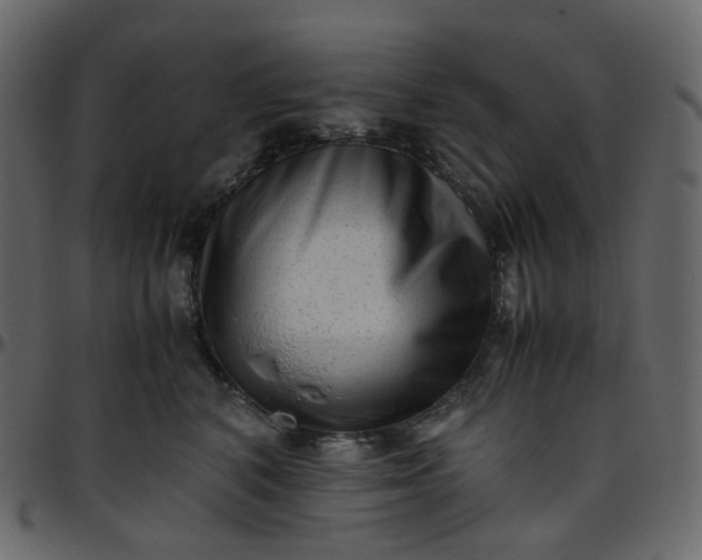 X0000095690616200801221249