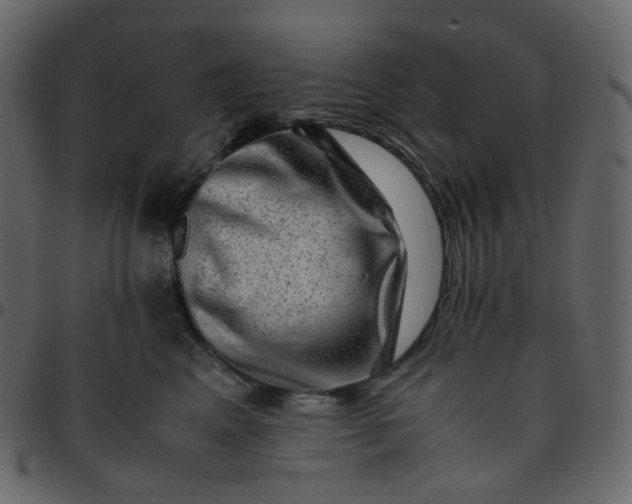 X0000095690617200801221249