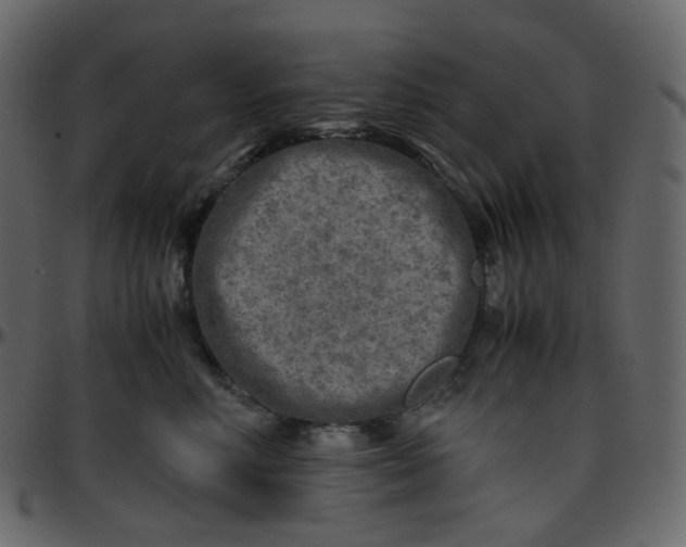 X0000095690618200801221249