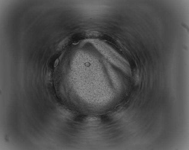 X0000095690619200801221249