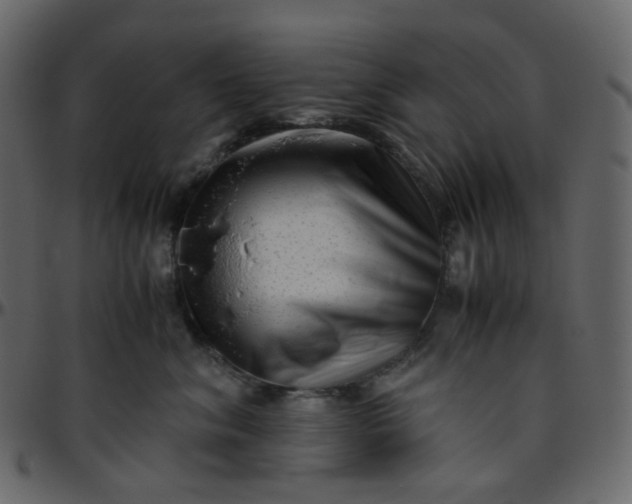 X0000095690620200801221249