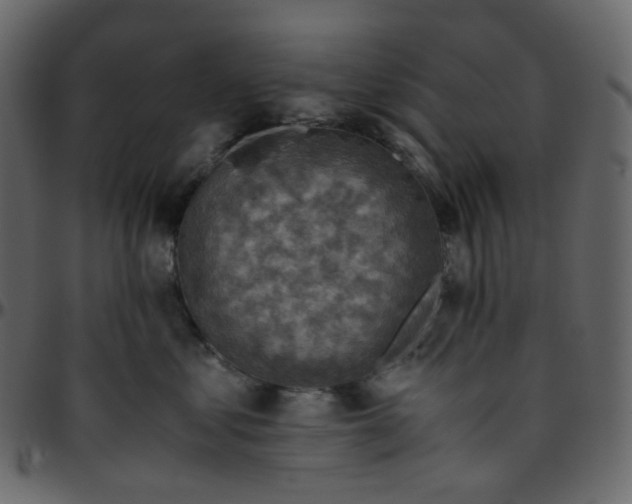 X0000095690621200801221249