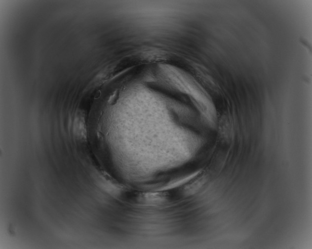 X0000095690622200801221249