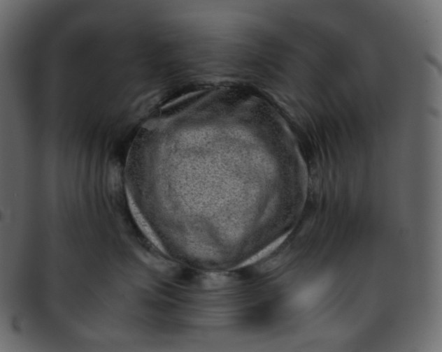 X0000095690623200801221249