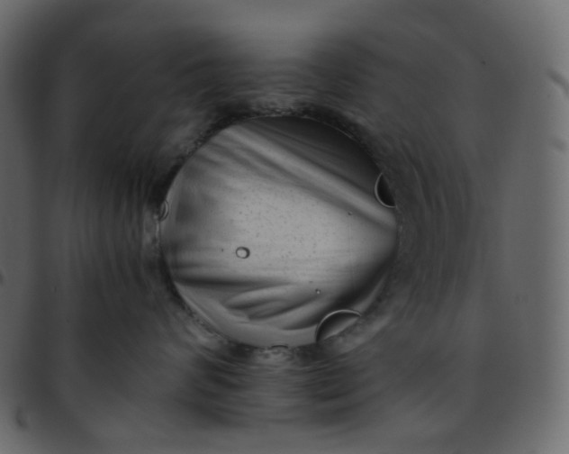 X0000095690624200801221249