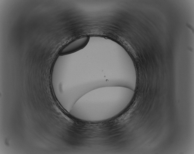 X0000095690625200801221248