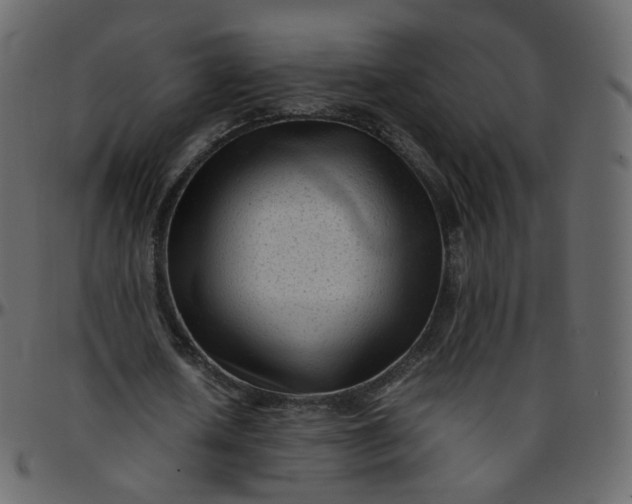 X0000095690626200801221248