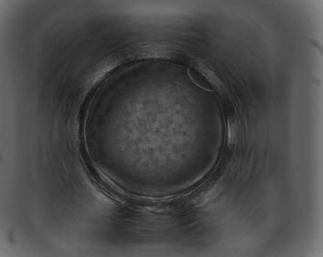 X0000095690627200801221248