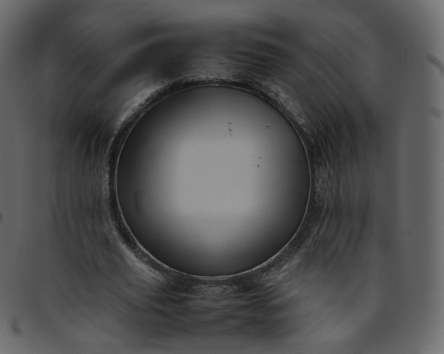 X0000095690629200801221248