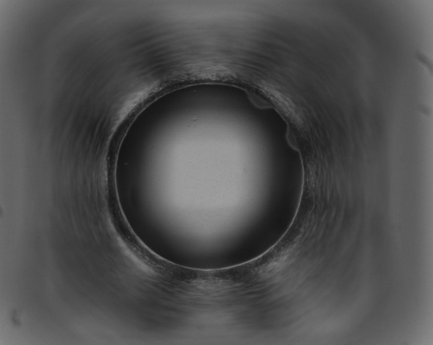 X0000095690630200801221248