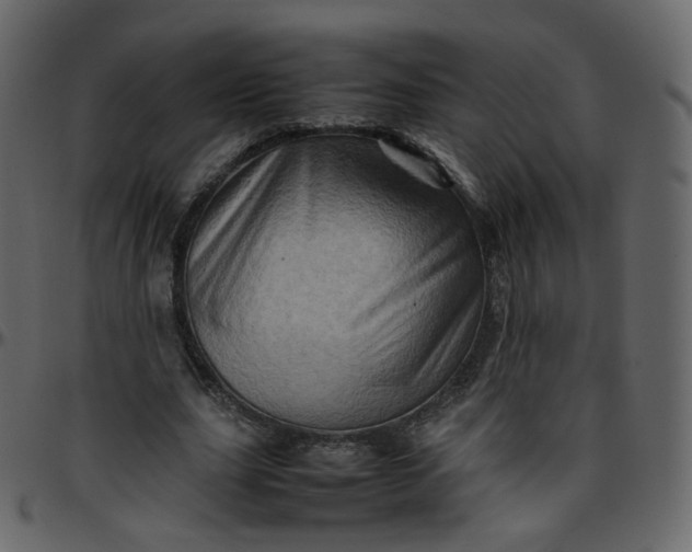 X0000095690631200801221248