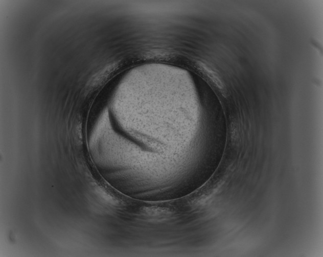 X0000095690633200801221248