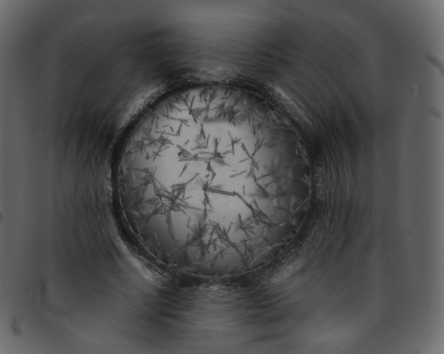 X0000095690634200801221248