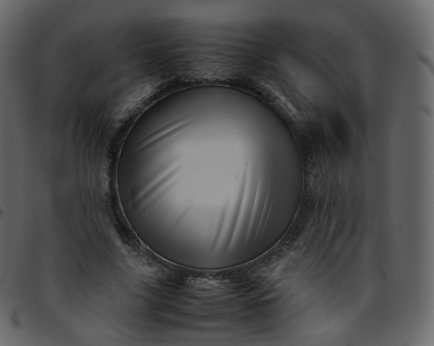 X0000095690635200801221248