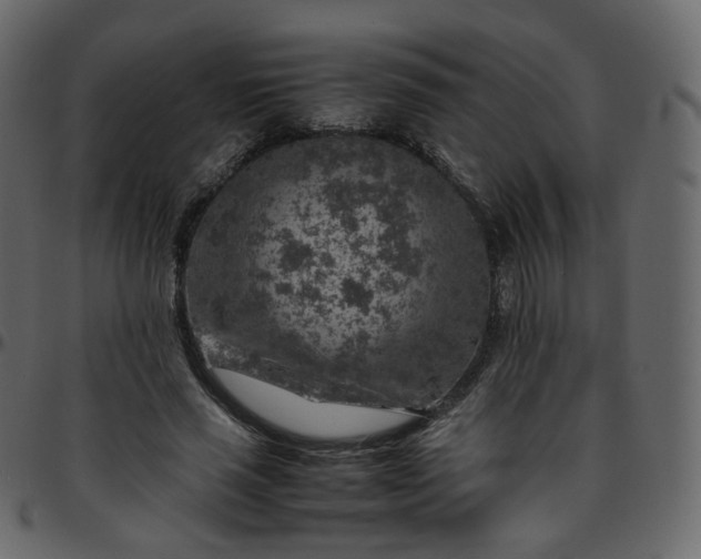 X0000095690637200801221248