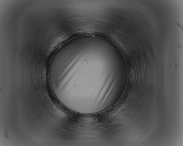 X0000095690638200801221248