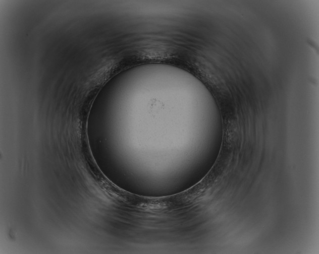 X0000095690639200801221248