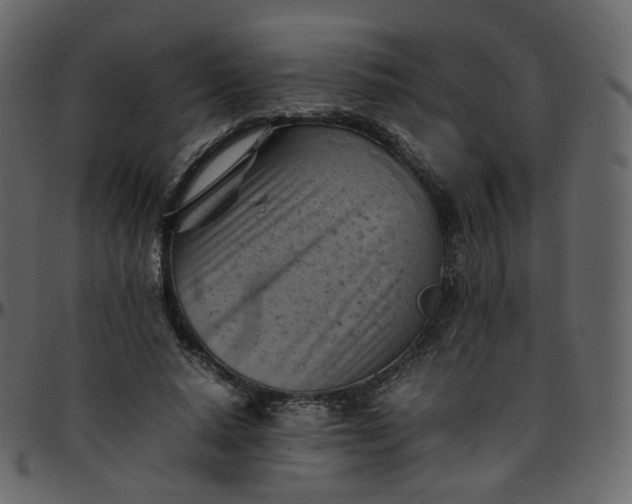 X0000095690640200801221248