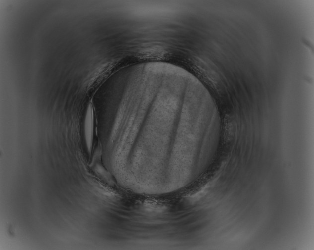 X0000095690641200801221248