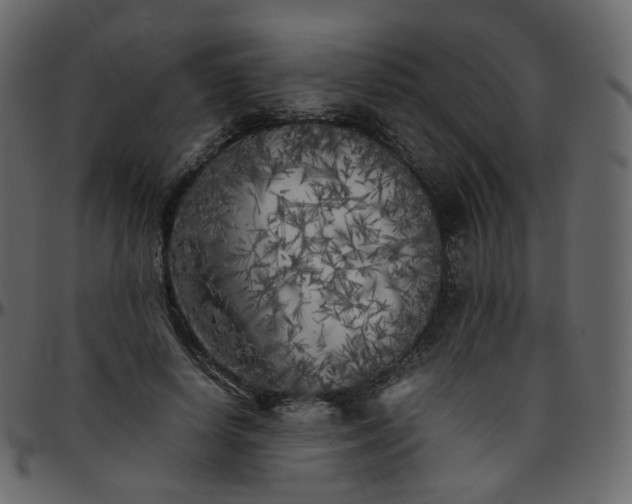 X0000095690642200801221248