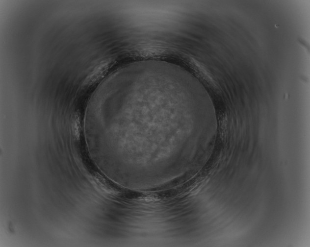 X0000095690644200801221248