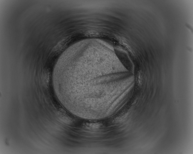 X0000095690645200801221248