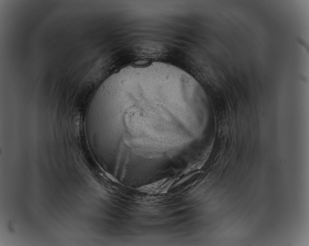 X0000095690647200801221248